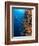 Diver With Light Next To Vertical Reef Formation, Pantar Island, Indonesia-Jones-Shimlock-Framed Photographic Print