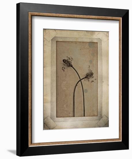 Divergence Copie-Nathalie Diacci-Framed Photographic Print