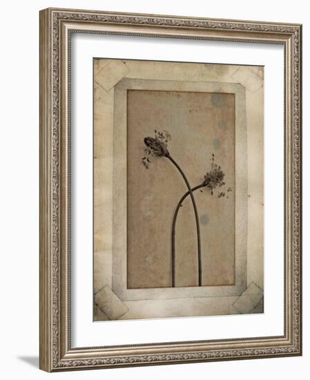 Divergence Copie-Nathalie Diacci-Framed Photographic Print