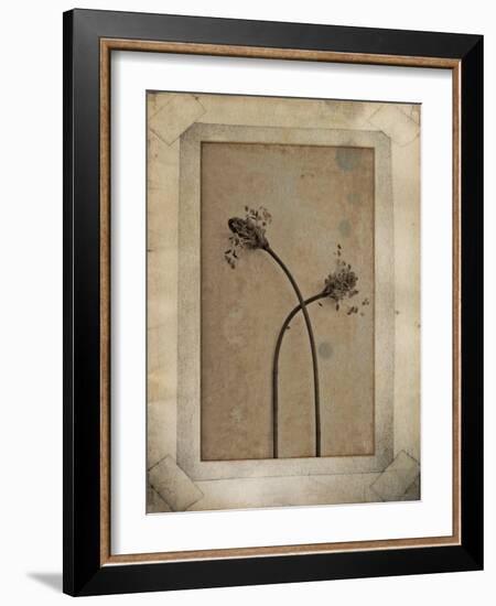 Divergence Copie-Nathalie Diacci-Framed Photographic Print