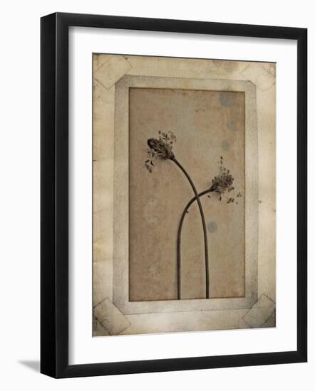 Divergence Copie-Nathalie Diacci-Framed Photographic Print