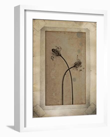 Divergence Copie-Nathalie Diacci-Framed Photographic Print