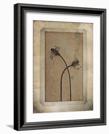 Divergence Copie-Nathalie Diacci-Framed Photographic Print