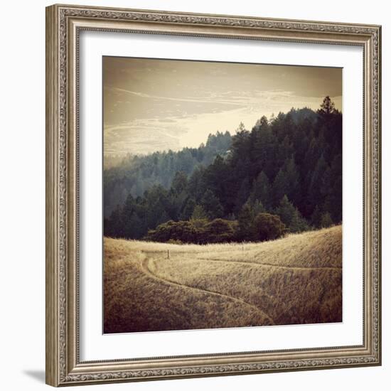 Diverging Paths 2-Lance Kuehne-Framed Photographic Print