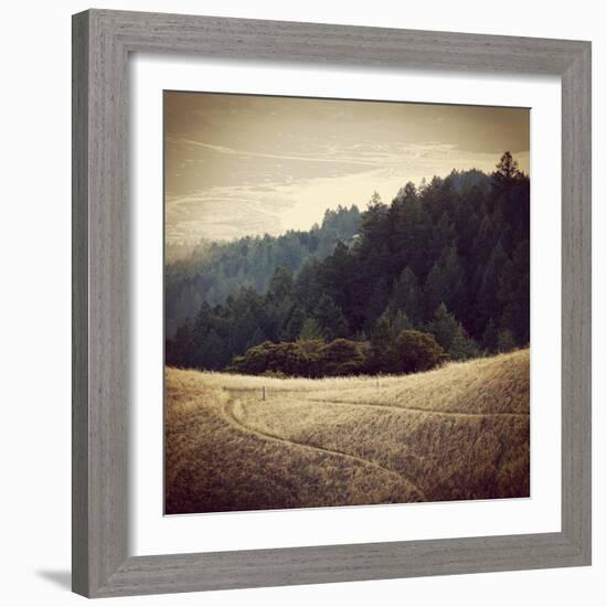 Diverging Paths 2-Lance Kuehne-Framed Photographic Print