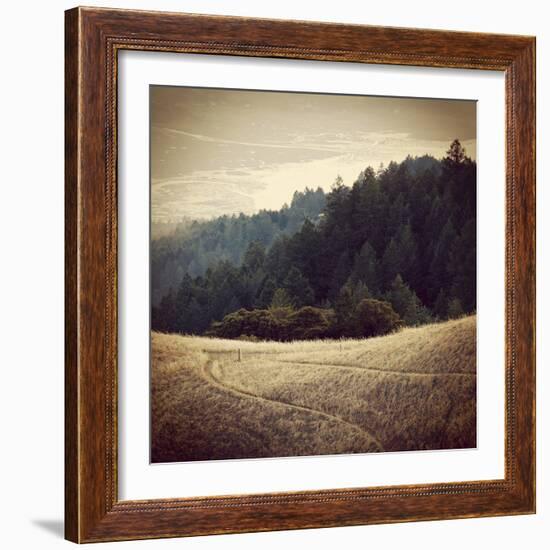 Diverging Paths 2-Lance Kuehne-Framed Photographic Print