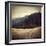 Diverging Paths 2-Lance Kuehne-Framed Photographic Print