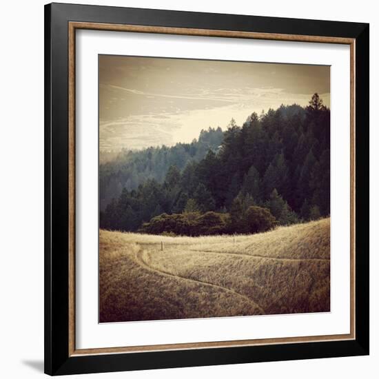 Diverging Paths 2-Lance Kuehne-Framed Photographic Print