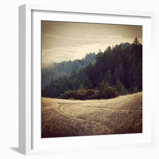 Diverging Paths 2-Lance Kuehne-Framed Photographic Print