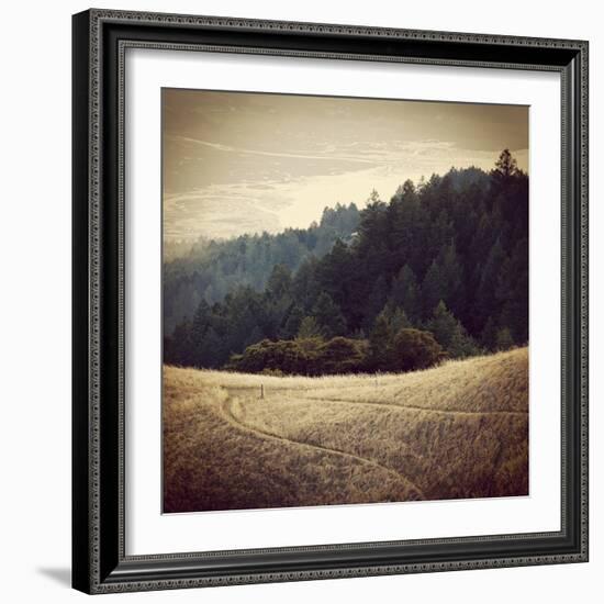 Diverging Paths 2-Lance Kuehne-Framed Photographic Print