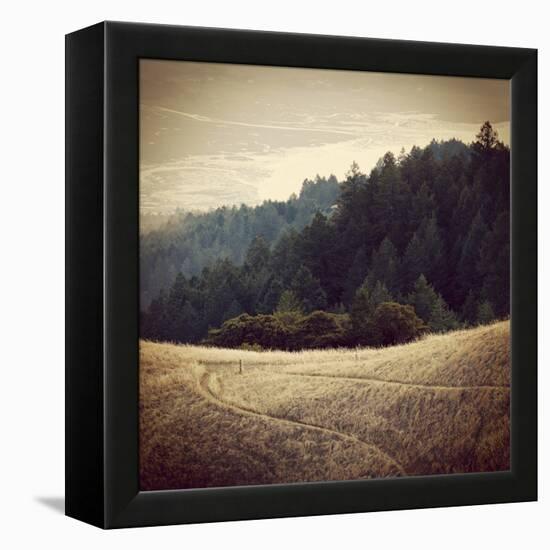 Diverging Paths 2-Lance Kuehne-Framed Stretched Canvas