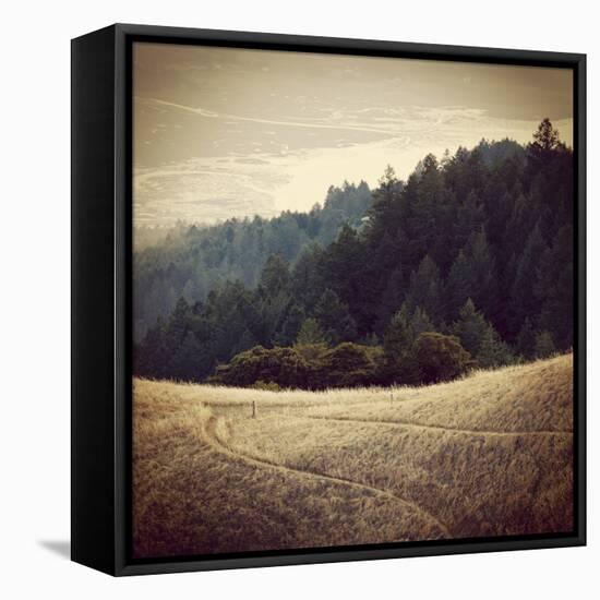 Diverging Paths 2-Lance Kuehne-Framed Stretched Canvas