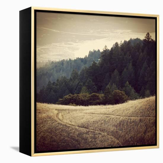 Diverging Paths 2-Lance Kuehne-Framed Stretched Canvas