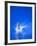 Divers Feet at Monment of Imapct into the Water, Athens, Greece-Paul Sutton-Framed Photographic Print