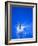 Divers Feet at Monment of Imapct into the Water, Athens, Greece-Paul Sutton-Framed Photographic Print
