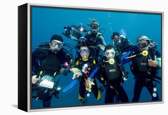 Divers-Matthew Oldfield-Framed Premier Image Canvas