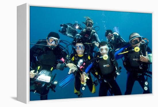 Divers-Matthew Oldfield-Framed Premier Image Canvas