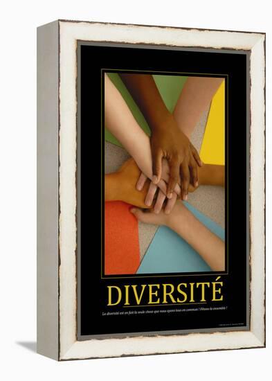 Diversité (French Translation)-null-Framed Stretched Canvas