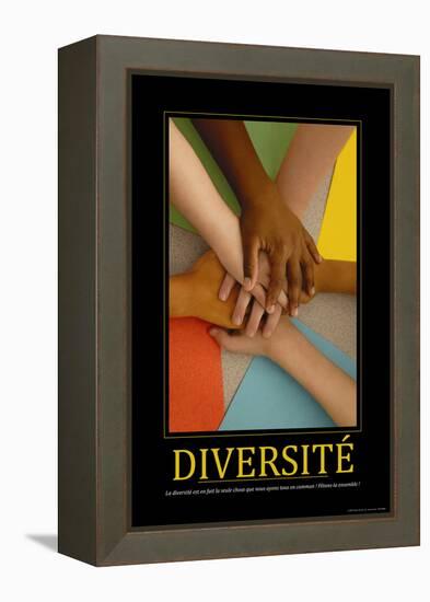 Diversité (French Translation)-null-Framed Stretched Canvas