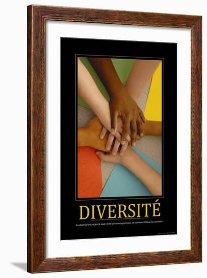 Diversité (French Translation)-null-Framed Photo