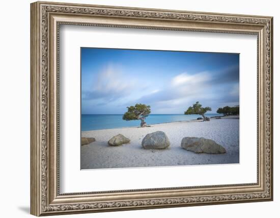 Divi Divi Trees on Eagle Beach, Aruba, Lesser Antilles, Netherlands Antilles, Caribbean-Jane Sweeney-Framed Photographic Print