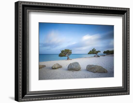 Divi Divi Trees on Eagle Beach, Aruba, Lesser Antilles, Netherlands Antilles, Caribbean-Jane Sweeney-Framed Photographic Print