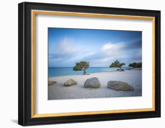 Divi Divi Trees on Eagle Beach, Aruba, Lesser Antilles, Netherlands Antilles, Caribbean-Jane Sweeney-Framed Photographic Print