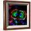 Dividing Cell, Light Micrograph-Science Photo Library-Framed Premium Photographic Print