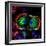 Dividing Cell, Light Micrograph-Science Photo Library-Framed Premium Photographic Print