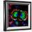 Dividing Cell, Light Micrograph-Science Photo Library-Framed Premium Photographic Print