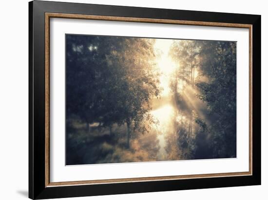 Divine Dawn-Andreas Stridsberg-Framed Giclee Print