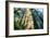 Divine Forest Light Coast Redwoods Del Norte California-Vincent James-Framed Photographic Print