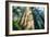 Divine Forest Light Coast Redwoods Del Norte California-Vincent James-Framed Photographic Print