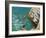 Diving and Swimming,,Skiathos. 2016-Andrew Macara-Framed Giclee Print