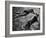 Diving Dude and Dog-null-Framed Photographic Print