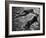 Diving Dude and Dog-null-Framed Photographic Print