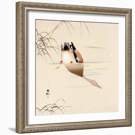 Diving Mallard-Koson Ohara-Framed Giclee Print