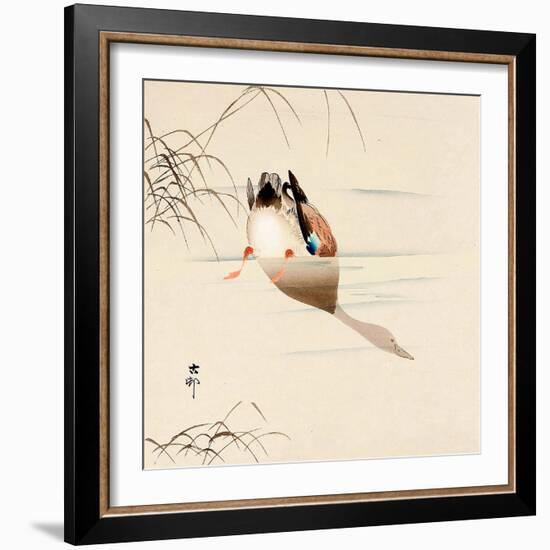 Diving Mallard-Koson Ohara-Framed Giclee Print