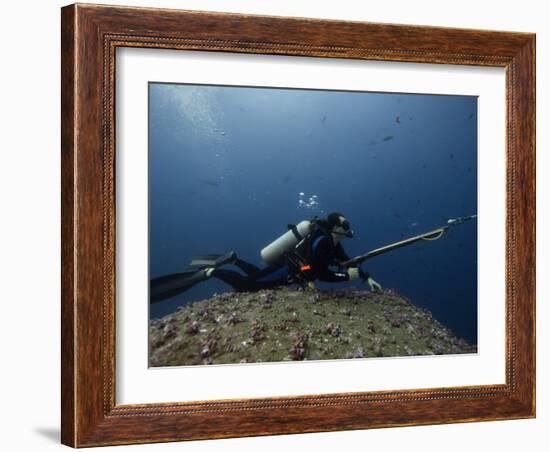 Diving With Spear Gun, Wolf Island, Galapagos Islands, Ecuador-Pete Oxford-Framed Photographic Print