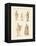 Divinities of the Greeks and Romans-null-Framed Premier Image Canvas