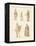 Divinities of the Greeks and Romans-null-Framed Premier Image Canvas