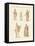 Divinities of the Greeks and Romans-null-Framed Premier Image Canvas