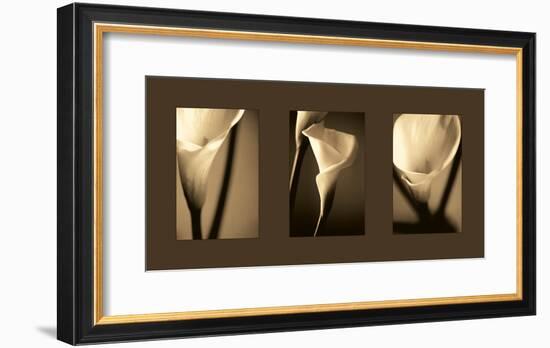 Divinity-Cinzia Ryan-Framed Giclee Print