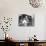 Divorce - Italian Style, Stefania Sandrelli, Marcello Mastroianni, 1961-null-Photo displayed on a wall
