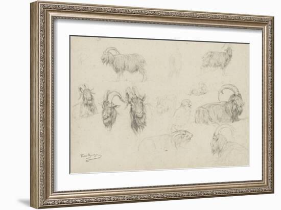 Dix études de chèvres, un mouton, un perroquet-Rosa Bonheur-Framed Giclee Print