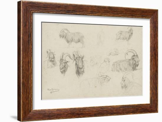 Dix études de chèvres, un mouton, un perroquet-Rosa Bonheur-Framed Giclee Print