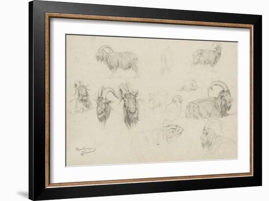 Dix études de chèvres, un mouton, un perroquet-Rosa Bonheur-Framed Giclee Print