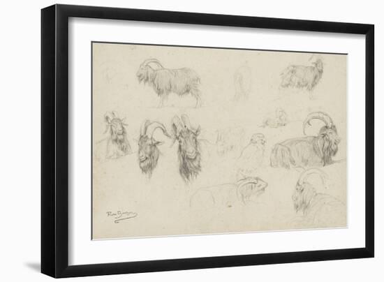 Dix études de chèvres, un mouton, un perroquet-Rosa Bonheur-Framed Giclee Print