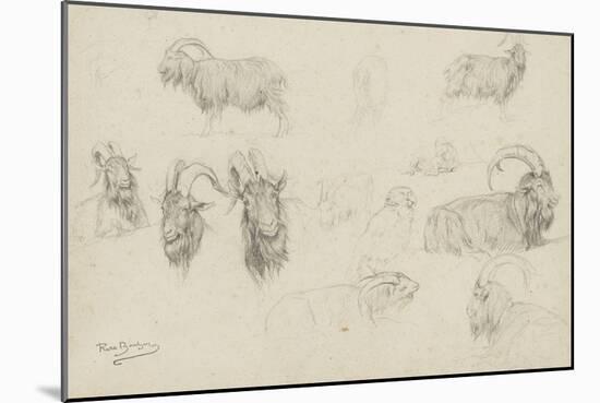 Dix études de chèvres, un mouton, un perroquet-Rosa Bonheur-Mounted Giclee Print