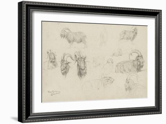 Dix études de chèvres, un mouton, un perroquet-Rosa Bonheur-Framed Giclee Print